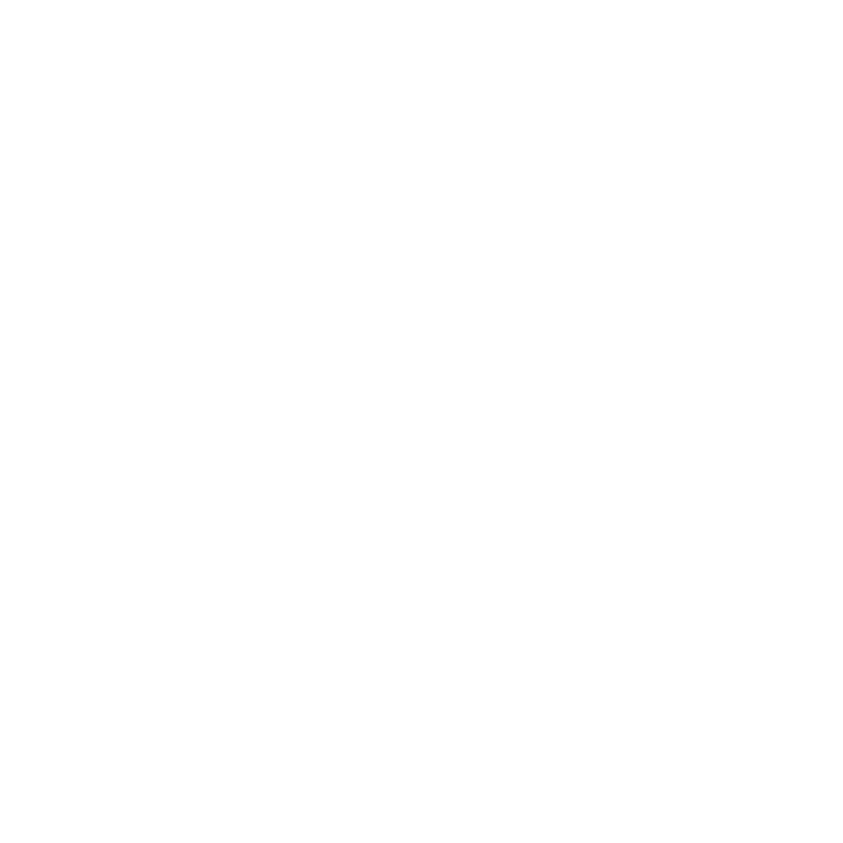 funds icon
